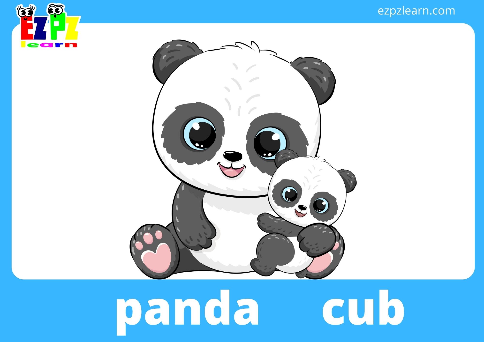 panda and cub